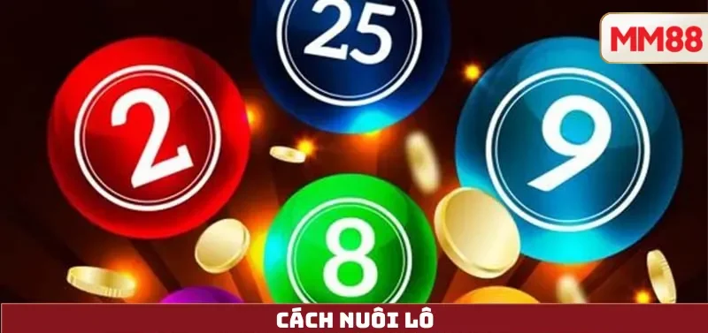 Cách Nuôi Lô – Hiểu Đúng Xác Suất, Quản Trị Vốn & Chơi Có Trách Nhiệm Cùng MM88 5 Cách Nuôi Lô